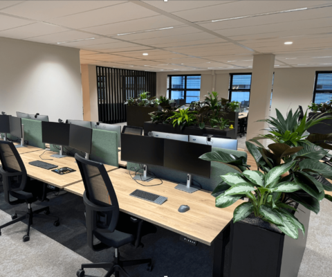 Renovatie en inrichting van get nieuwe kantoor van Minitab